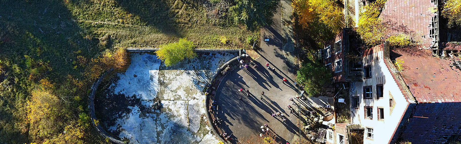 Baumkronenpfad ,
        
    

        
        
            Foto: Baum und Zeit