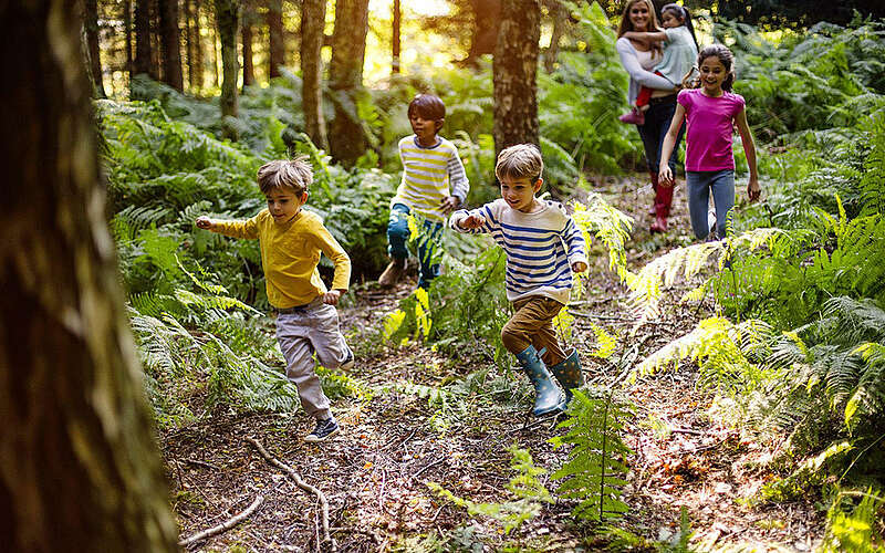 



        
            Rollenspiel mit Kindern im Waldparadies Borkheide,
        
    

        Foto: Waldparadies Borkheide/Rebecca Phillips
    