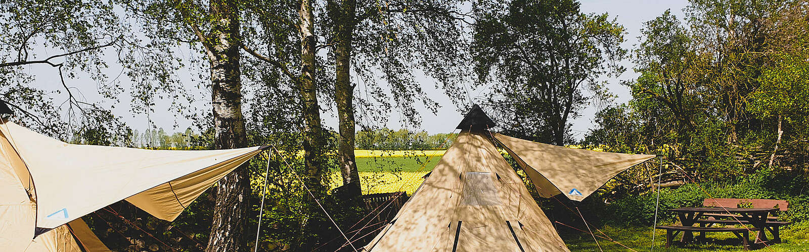Zelte vor Rapsfeld in Oehna,
        
    

        
            Foto: Flaeming Camping Oehna
