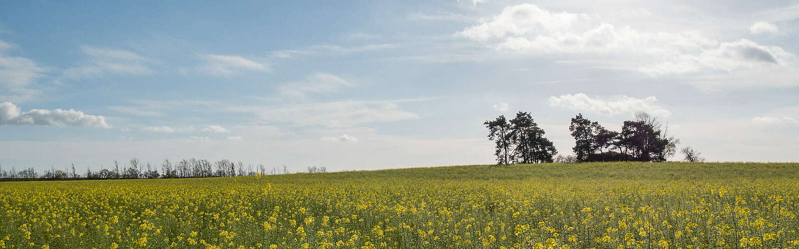 Städteporträt Niedergörsdorf,
        
    

        Foto: Tourismusverband Fläming e.V./Catharina Weisser