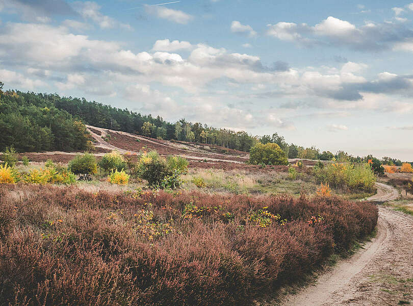 Städteporträt Nuthetal - Saarmunder Berg