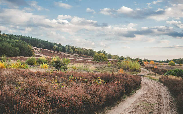 Städteporträt Nuthetal - Saarmunder Berg