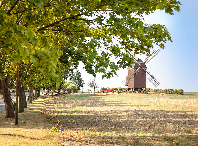 Die Dennewitzer Hochzeitsmühle