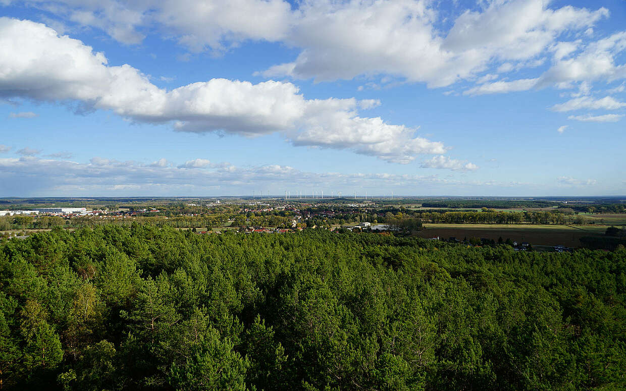 Ausblick vom Löwendorfer Turm