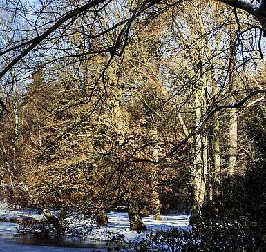 Parks, Grünanlagen und Schlossgärten