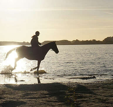 Reiten