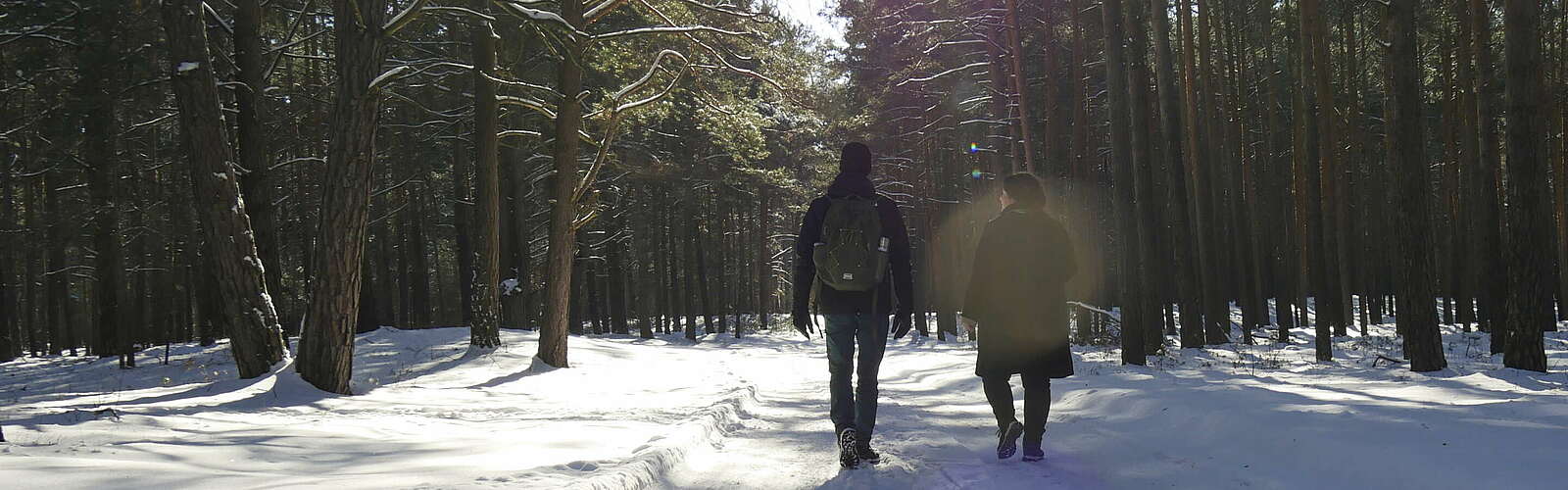 Wanderndes Paar im verschneiten Wald,
        
    

        Foto: Tourismusverband Fläming e.V./Catharina Weisser