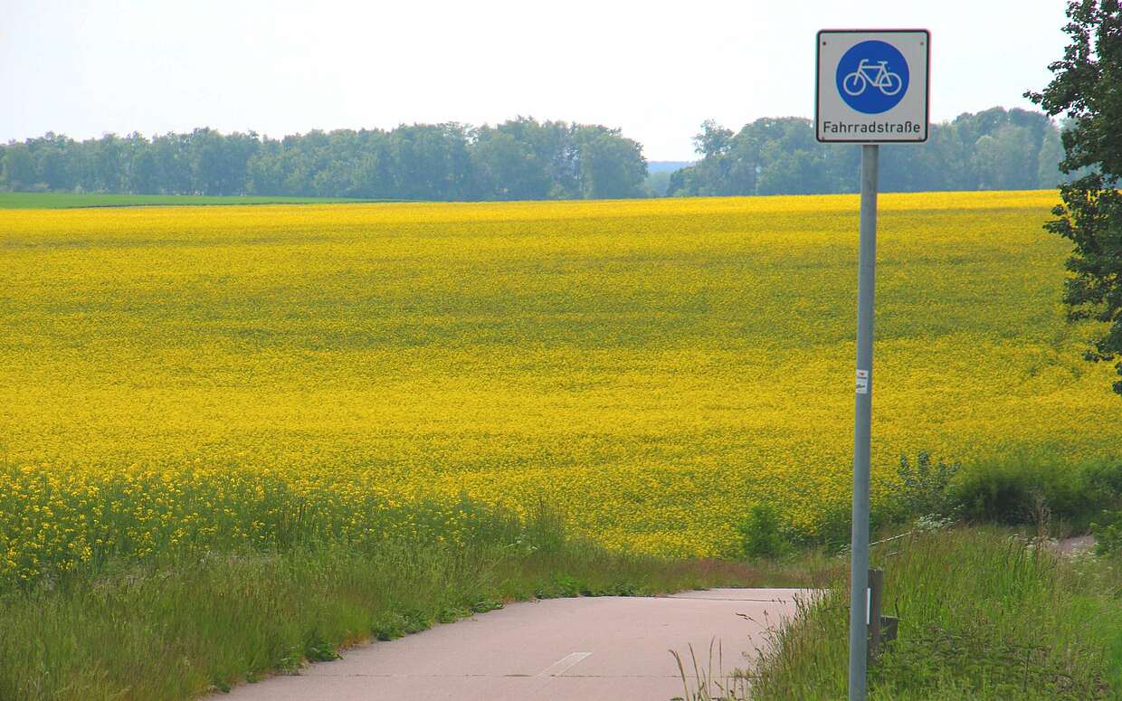 Flaeming-Skate mit Rapsfeld