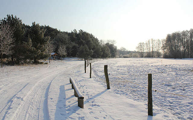 Winterwanderung im Hohen Fläming