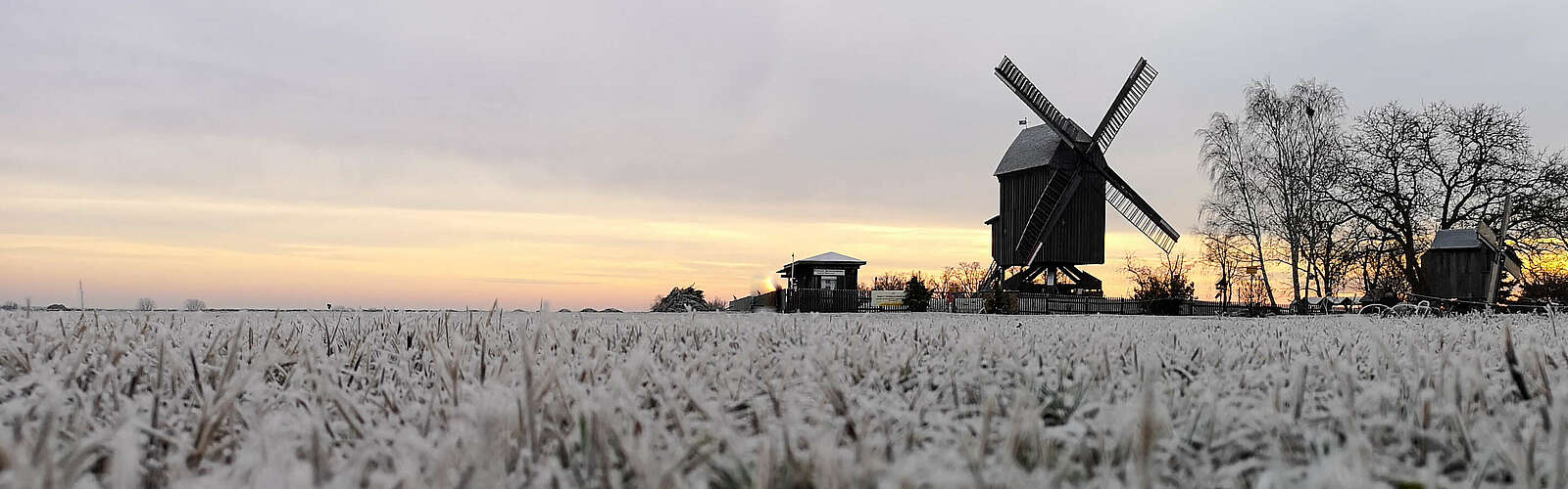 Beelitzer Bockwindmühle mit Raureif,
        
    

        Foto: Tourismusverband Fläming e.V./Catharina Weisser