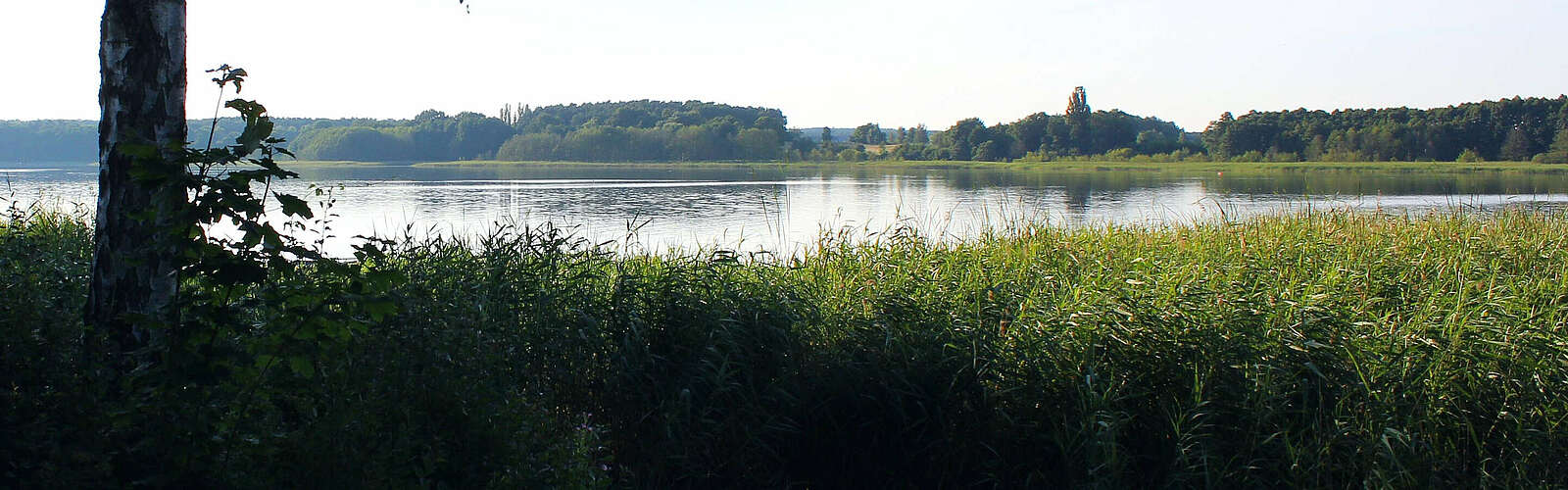 Seeufer am Seddiner See,
        
    

        Foto: Tourismusverband Fläming e.V./Alexandra Stein