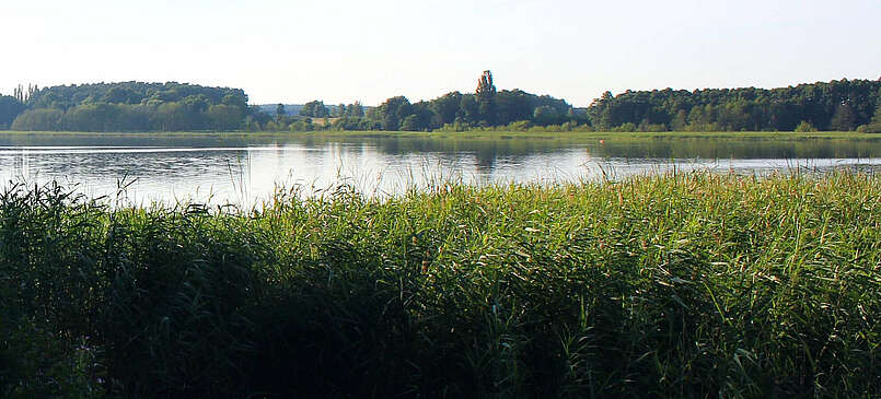 Wandern um den Seddiner See