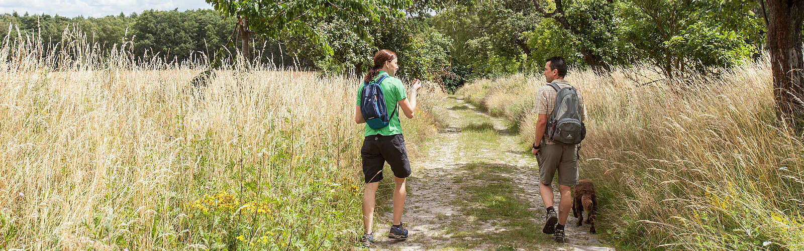 Wanderer im Hohen Fläming,
        
    

        Foto: Tourismusverband Fläming e.V./Jedrzej Marzecki