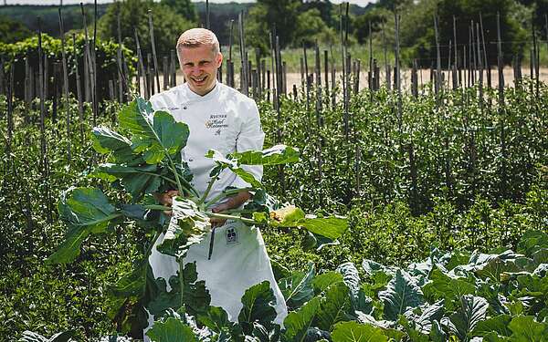 Daniel Reuner auf dem Feld mit Kohlrabi