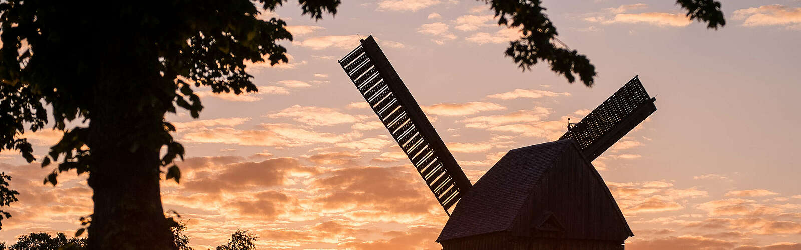 Bockwindmühle Beelitz im Sonnenuntergang,
        
    

        Foto: Tourismusverband Fläming e.V./Klaus-Peter Kappest