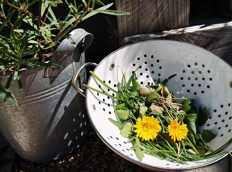 Kräuterauszeit und Outdoorcooking in der Auszeit Rietz