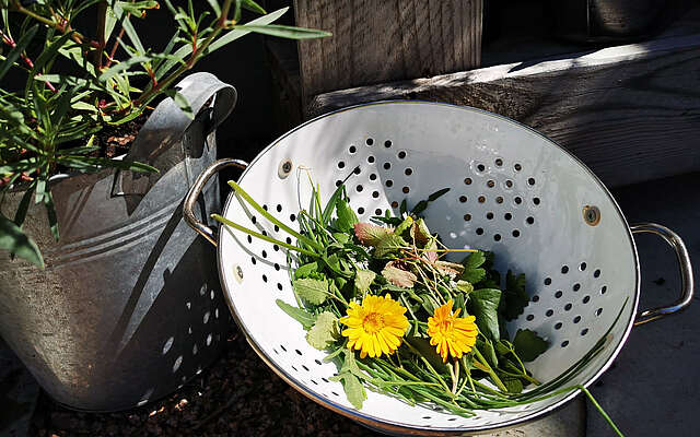 Kräuterauszeit und Outdoorcooking in der Auszeit Rietz