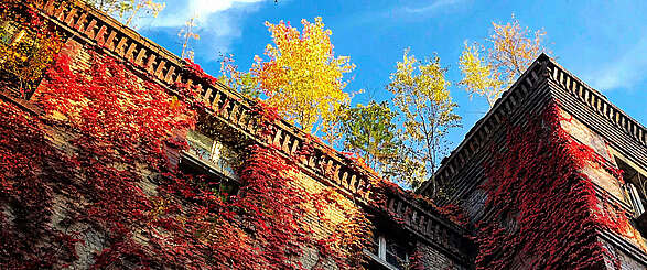 Beelitz-Heilstätten