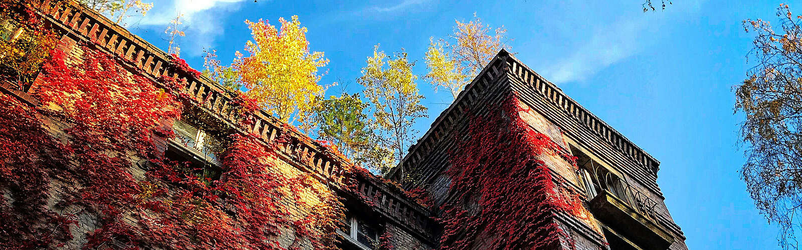 Beelitz Heilstätten im Herbst,
        
    

        Foto: TVF Fläming/Claudia Wegener