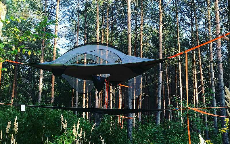



        
            Hanging Tents im Waldparadies Borkheide,
        
    

        Foto: Tourismusverband Fläming e.V./Klaus Herrmann
    