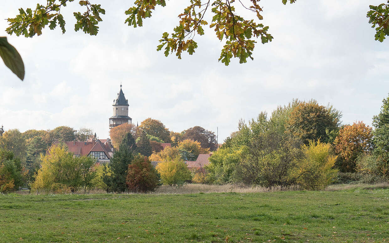 Unterwegs auf dem Kunstwanderweg - Städteporträt Wiesenburg