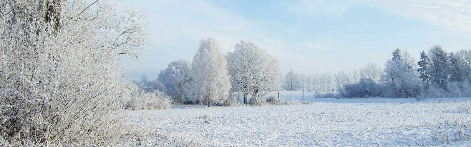 Winterlandschaft in Beelitz,
        
    

        
            Foto: Tourismusverband Fläming e.V.