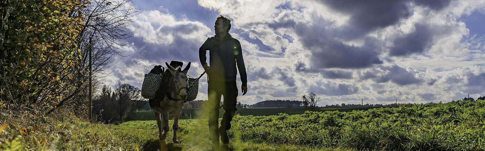 Eselwandern mit Jan Prowaznik von den Eselnomaden,
        
    

        Foto: Tourismusverband Fläming e.V./julian hohlfeld