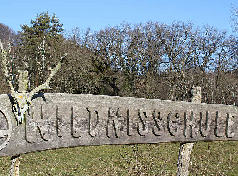 Wildnisschule Hoher Fläming