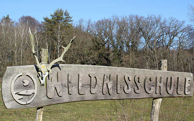 Wildnisschule Hoher Fläming