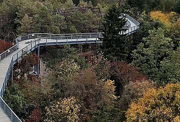 Der Baumkronenpfad