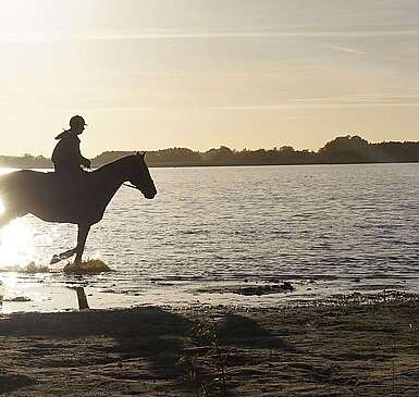 Reiter am Rangsdorfer See