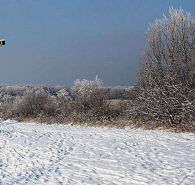 Winter im Naturpark Hoher Fläming