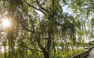 Naturparke im Fläming