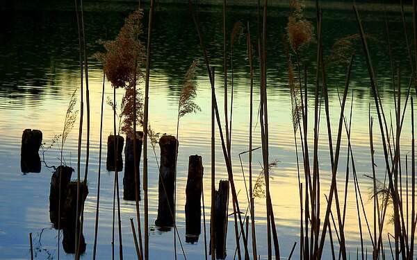 Zeschsee