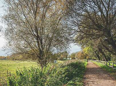 Städteporträt Großbeeren - Wanderwege Diedersdorf