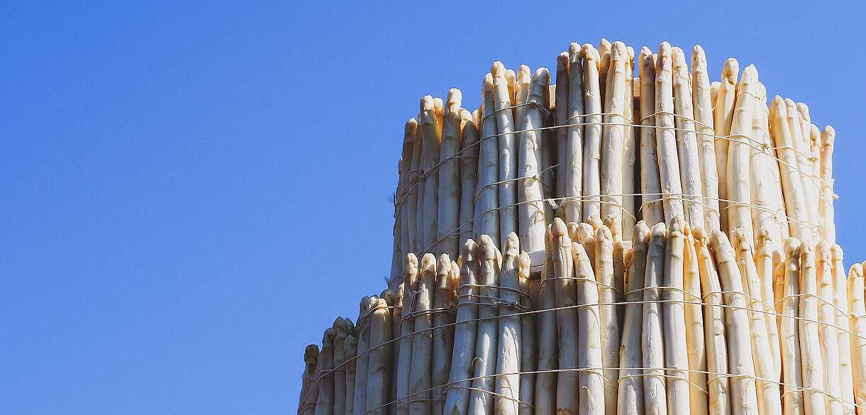 Spargelhof Klaistow Buschmann und Winkelmann