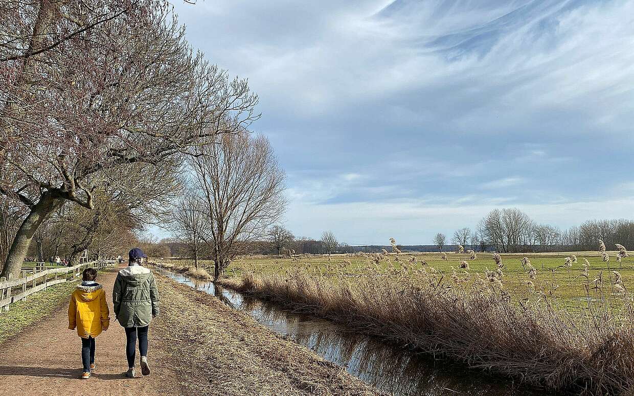Spaziergang in der Diedersdorfer Heide