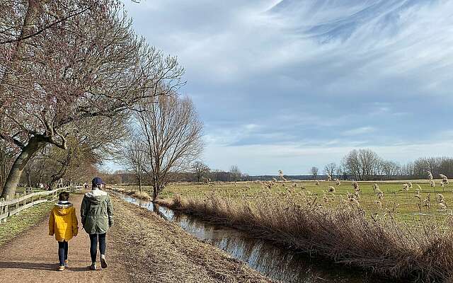 Spaziergang in der Diedersdorfer Heide