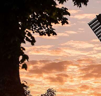 Bockwindmühle Beelitz im Sonnenuntergang