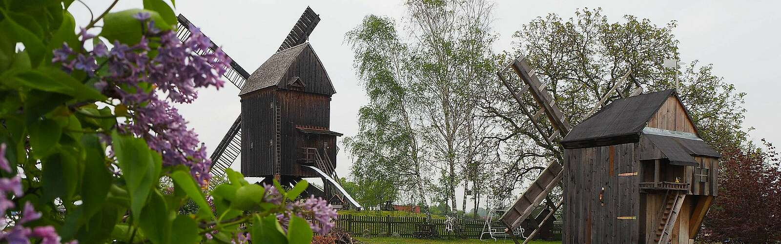 Beelitzer Bockwindmühle,
            
        
                Foto: Tourismusverband Fläming e.V./Susan Gutperl