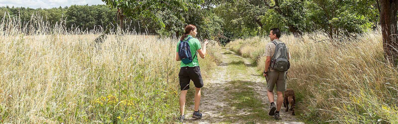 Wanderer im Hohen Fläming,
            
        
                Foto: Tourismusverband Fläming e.V./Jedrzej Marzecki