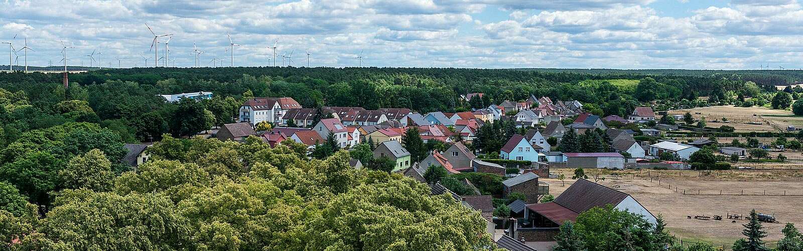 Blick auf Niemegk vom Wasserturm,
            
        
                Foto: Tourismusverband Fläming e.V./Antje Wickboldt