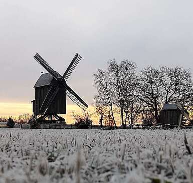Beelitzer Bockwindmühle mit Raureif