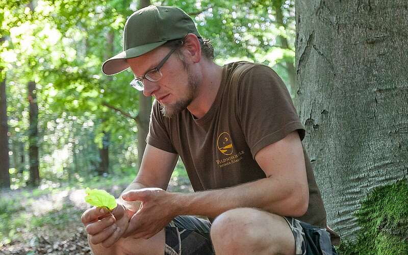 



    
        
                Wildnisschule Hoher Fläming - Paul Wernicke,
            
        
                Foto: Tourismusverband Fläming e.V./Jedrzej Marzecki
            
    
