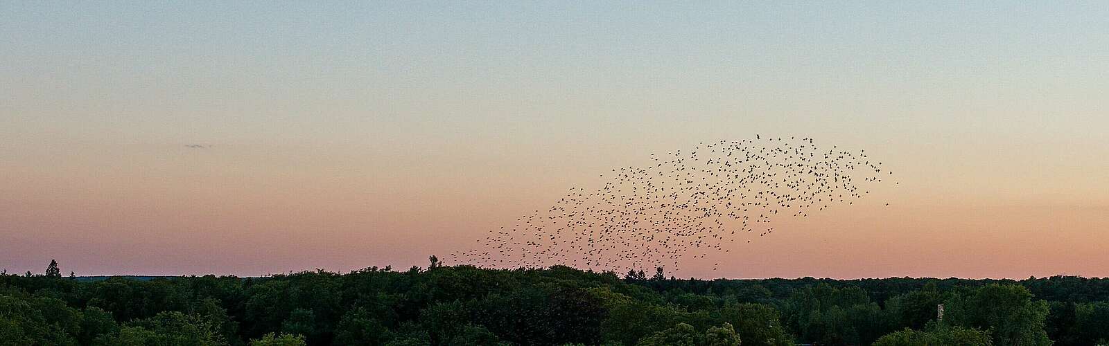 Abendsonne vom Schlossturm in Wiesenburg,
            
        
                Foto: Tourismusverband Fläming e.V./Antje Wickboldt