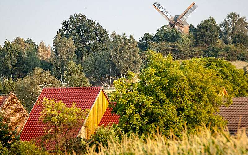 



    
        
                Borne und die Borne Bockwindmühle,
            
        
                Foto: Tourismusverband Fläming e.V./Jedrzej Marzecki
            
    

