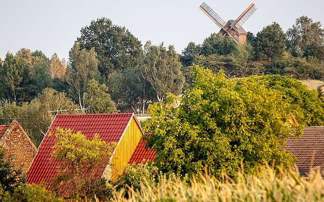 Borne und die Borne Bockwindmühle