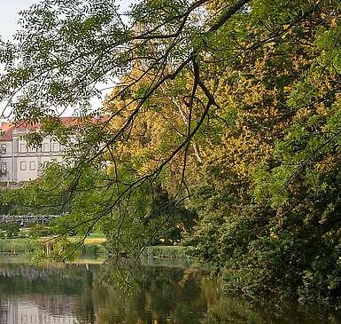 Parks, Grünanlagen und Schlossgärten