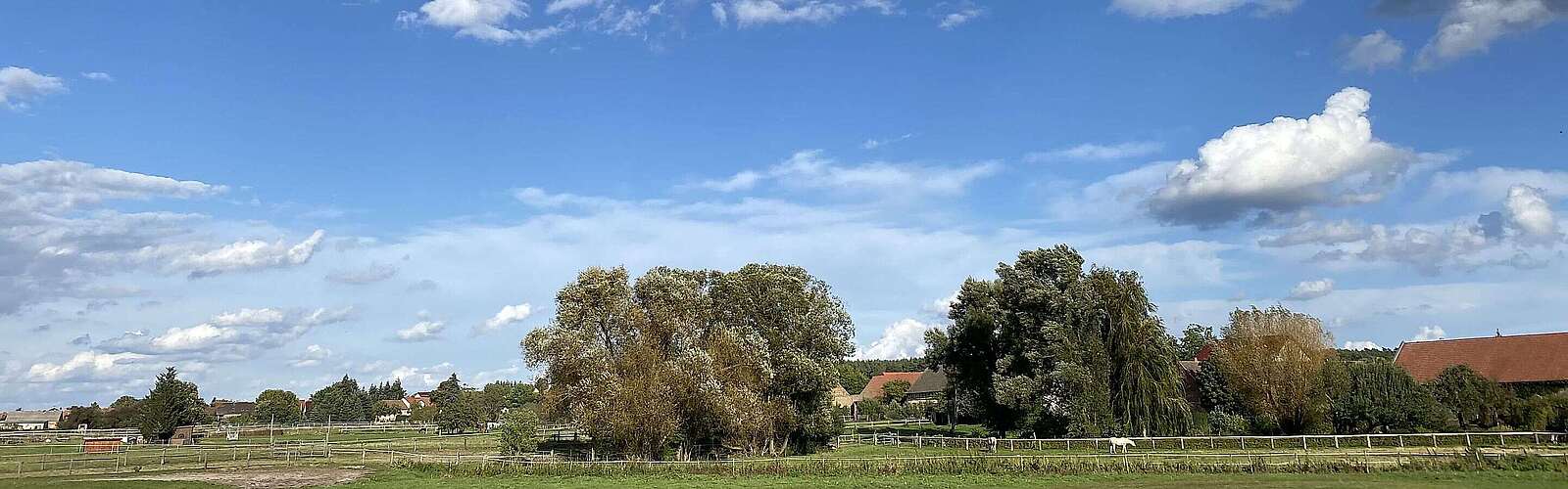 Wiesen und Weiden bei Hennickendorf