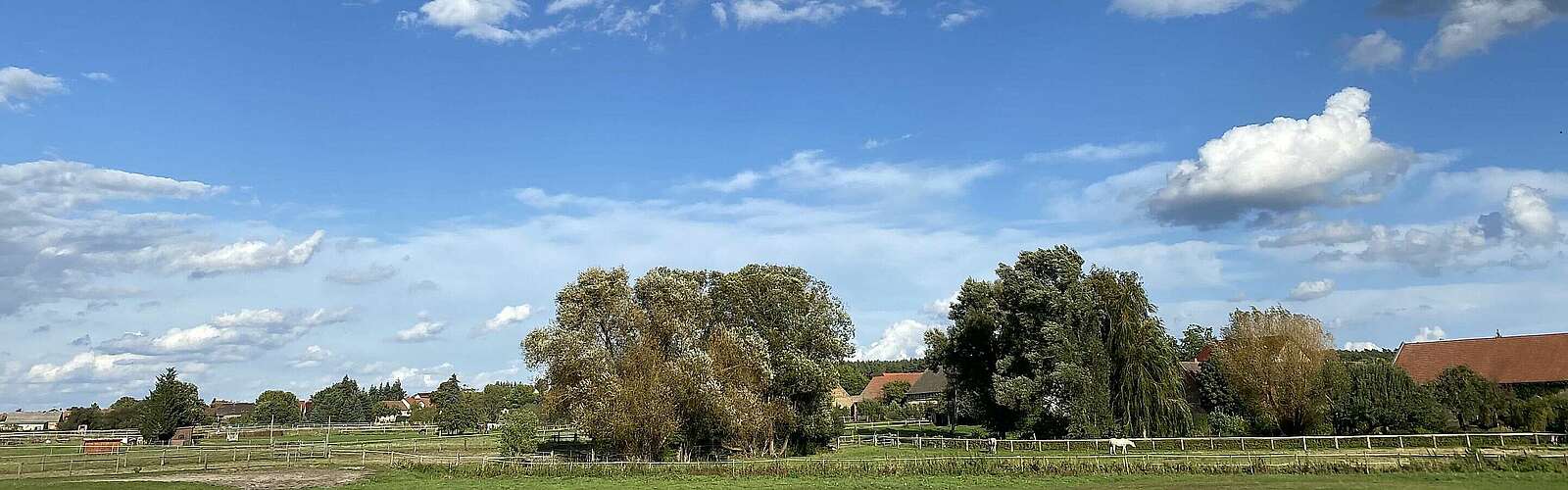 Wiesen und Weiden bei Hennickendorf